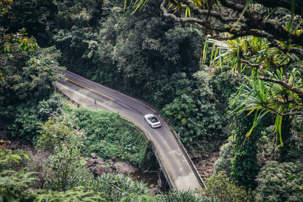 Automobile Injury with Kelley and Wilkins in Maui, Hawaii